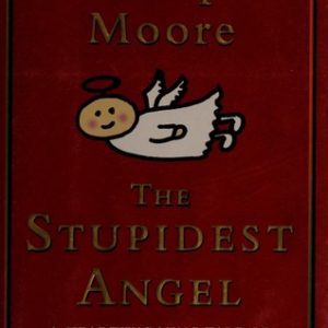the stupidest angel