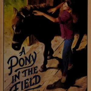 A Pony in the Field