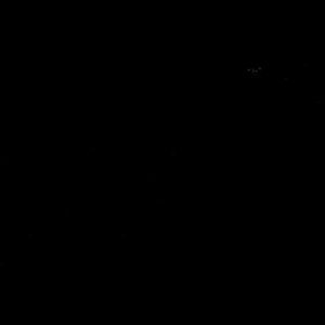 all the colours of darkness