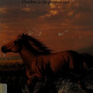 phantom stallion - desert dancer #7