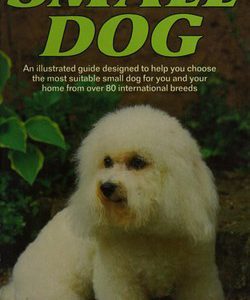 Selecting A Small Dog