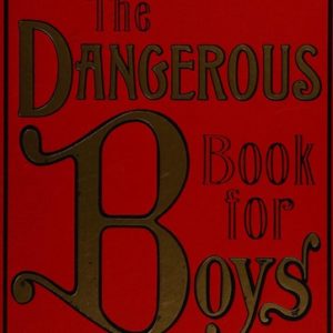 the dangerous book for boys