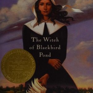 The Witch of Blackbird Pond
