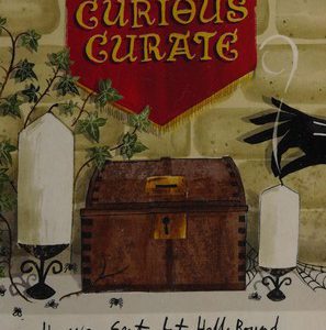 Agatha Raisin and the Curious Curate