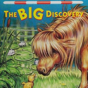 Sheltie the Big Discovery