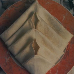 creative folds - the art of napkin folding