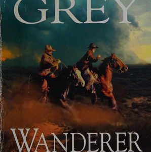 Wanderer of the Wasteland