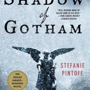 in the shadow of gotham