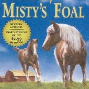 Stormy, Misty's Foal