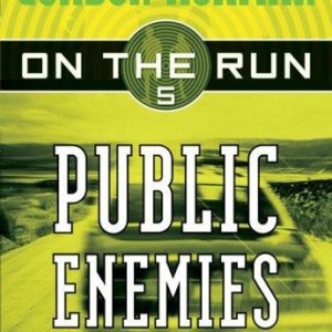 On the Run - Public Enemies