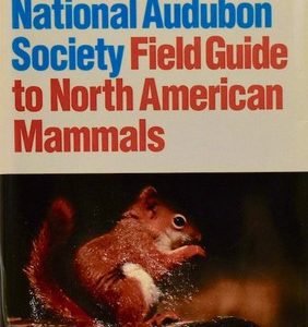 field guide to north american mammals