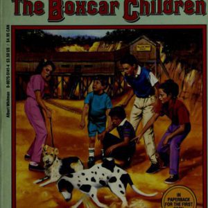 the boxcar children # 5- mike's mystery