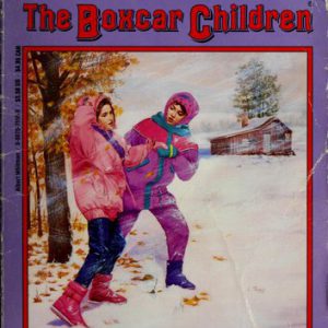 the boxcar children # 13- snowbound mystery