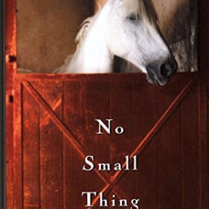 no small things