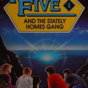 The Famous Five  and the Staely homes gang # 1