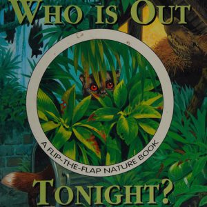 who is out tonight - a flip the flap nature book