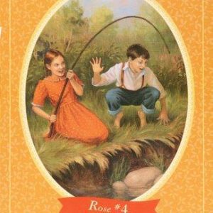 Little House Chapter bk # 4-Rose Adventures of Ros