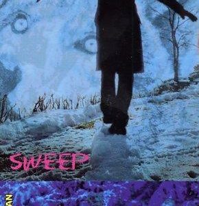 sweep # 8-changeling