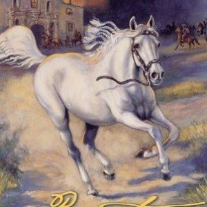 Spirit Stallion Of the Cimarron - Bonita