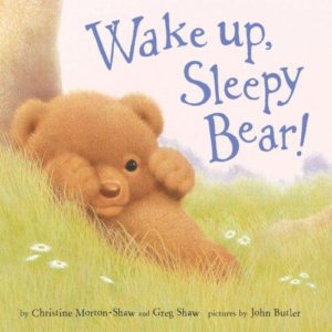 Wake Up, Sleepy Bear!