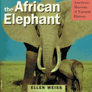 The African Elephant