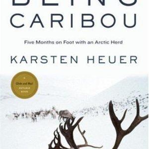 being caribou