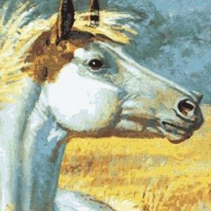 san domingo- the medicine hat stallion