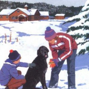 the boxcar children # 32 the mystery in the snow