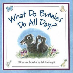 what do bunnies do all day