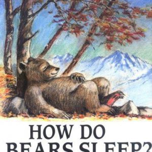 how do bears sleep?