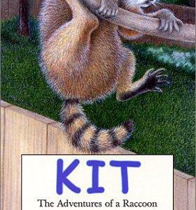 Kit