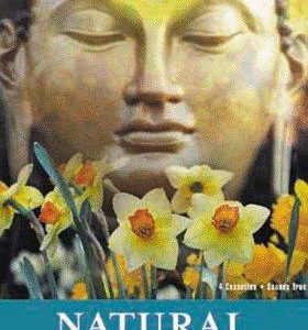 natural perfection: meditations