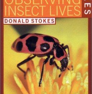 observing the insect lives