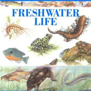 science nature guides freshwater life