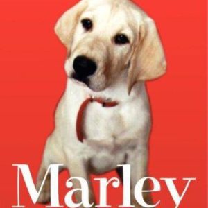 Marley - A Dog like no other