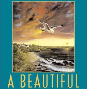 A Beautiful place to hide