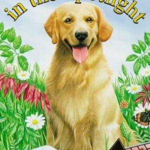 Casper in the Spotlight