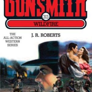 the gunsmith # 313 wildfire