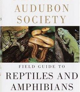 national society field guide to north american reptiles and amphibians