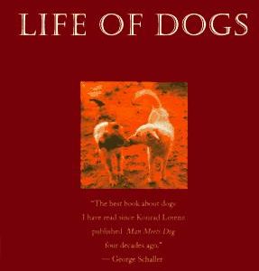 The Hidden Life of Dogs