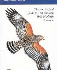 peterson first guides birds