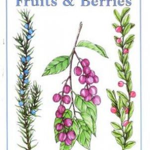A guide To Medicinal Wild Fruits & Berries