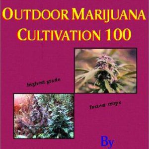 newschool outdoor marijuana cultivation 100