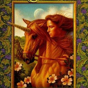 Unicorn Of Balinor - Sunchasers Quest