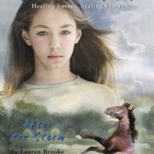 Heartland # 2 after The Storm