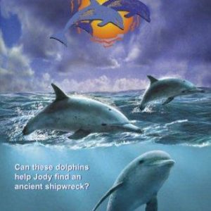 Dolphin diaries - Riding the Storm