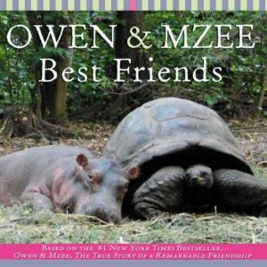 owen & mzee best friends