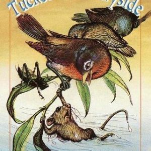 Tucker's Countryside