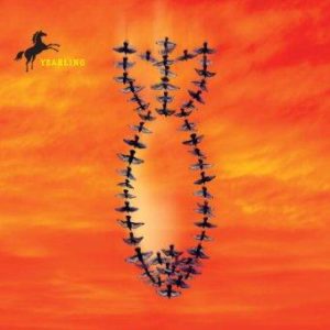 the prophet of yonwood