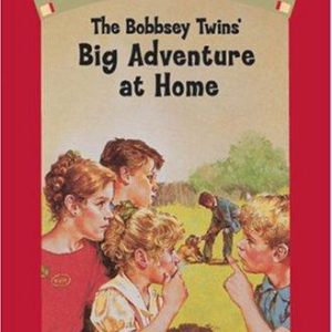 the bobbsey twin's big adventure at home